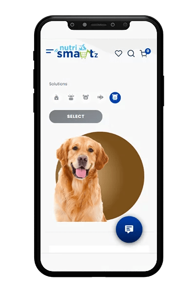 Nutri web apps